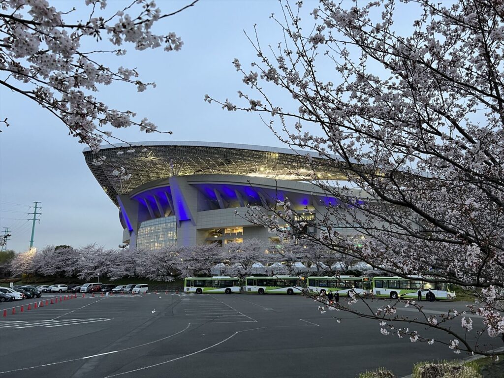 埼玉スタジアムと桜